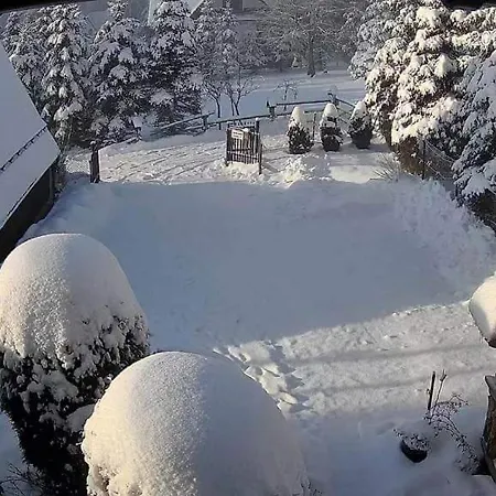 - Wymarzone Widoki * Zakopane