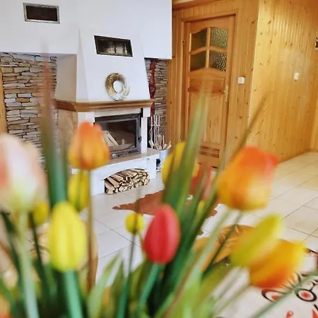 - Wymarzone Widoki *