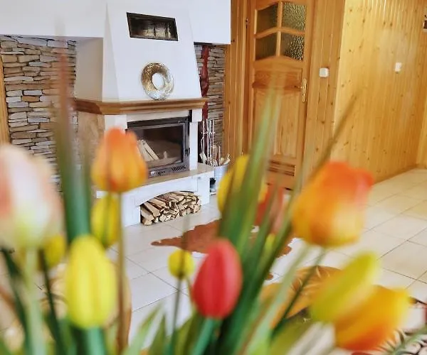 - Wymarzone Widoki *