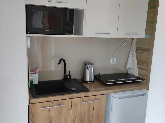 - Wymarzone Widoki 公寓 扎科帕内