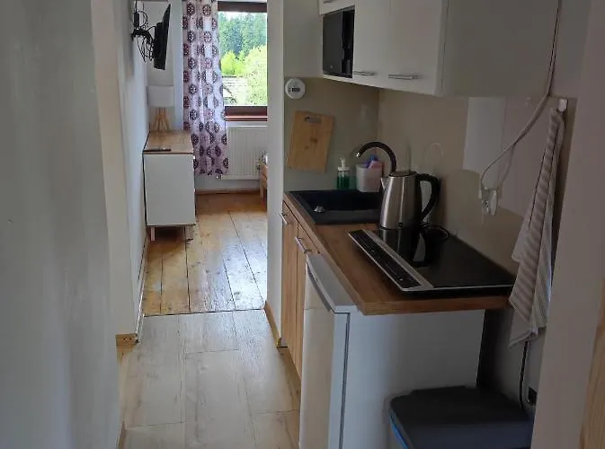 公寓 - Wymarzone Widoki 扎科帕内