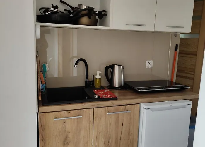 - Wymarzone Widoki 公寓 扎科帕内