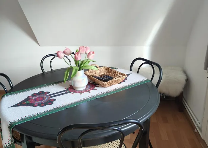 - Wymarzone Widoki 公寓 扎科帕内